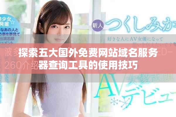 探索五大國(guó)外免費(fèi)網(wǎng)站域名服務(wù)器查詢工具的使用技巧