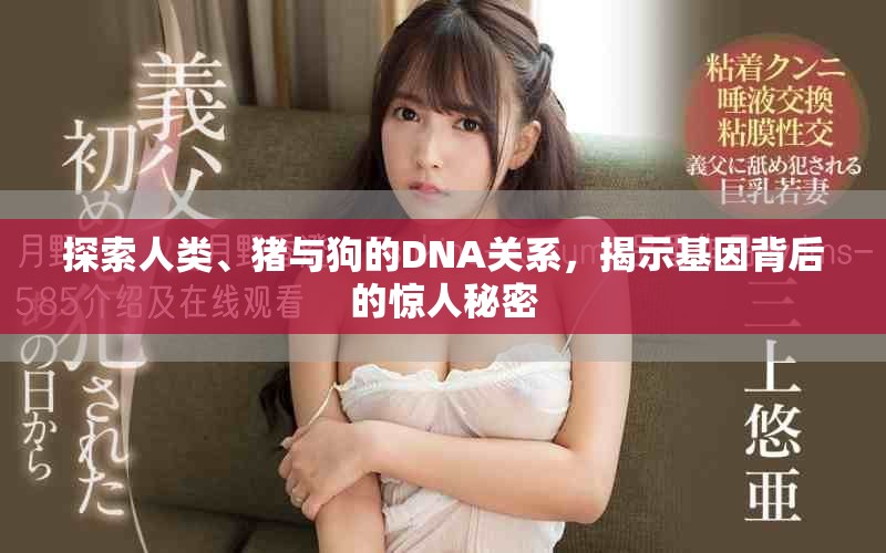 探索人類(lèi)、豬與狗的DNA關(guān)系，揭示基因背后的驚人秘密