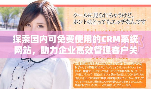 探索國內(nèi)可免費(fèi)使用的CRM系統(tǒng)網(wǎng)站，助力企業(yè)高效管理客戶關(guān)系