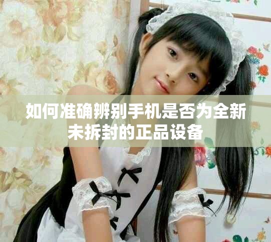 如何準(zhǔn)確辨別手機(jī)是否為全新未拆封的正品設(shè)備