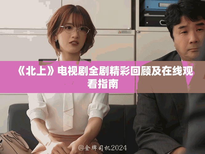 《北上》電視劇全劇精彩回顧及在線觀看指南