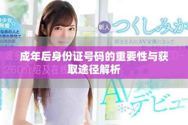 成年后身份證號碼的重要性與獲取途徑解析