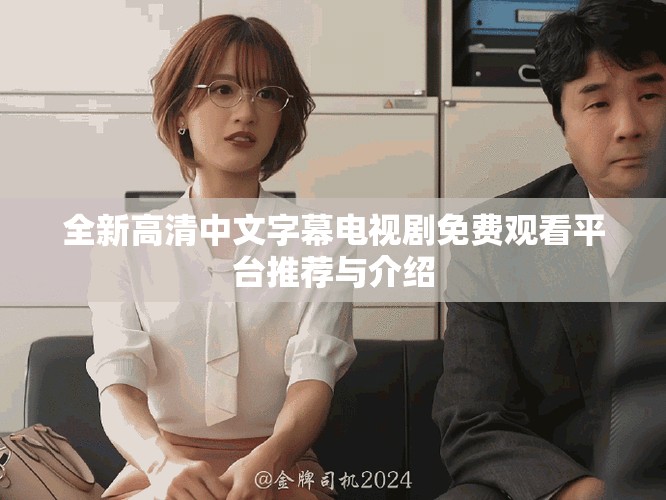 全新高清中文字幕電視劇免費(fèi)觀看平臺推薦與介紹