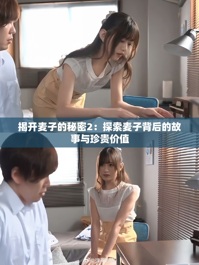 揭開麥子的秘密2：探索麥子背后的故事與珍貴價(jià)值
