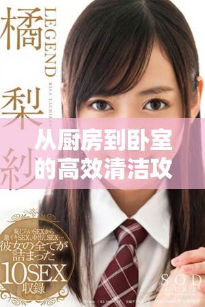 從廚房到臥室的高效清潔攻略，輕松實(shí)現(xiàn)全屋無塵生活