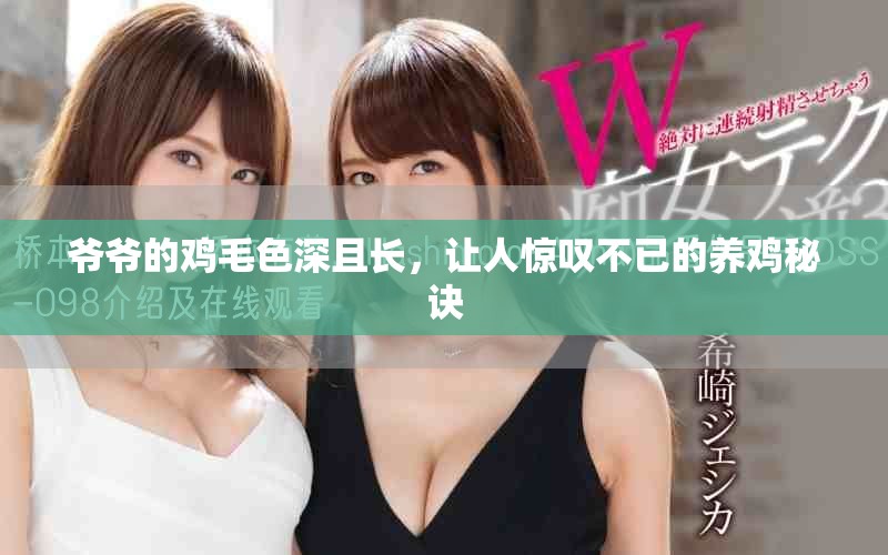 爺爺?shù)碾u毛色深且長，讓人驚嘆不已的養(yǎng)雞秘訣