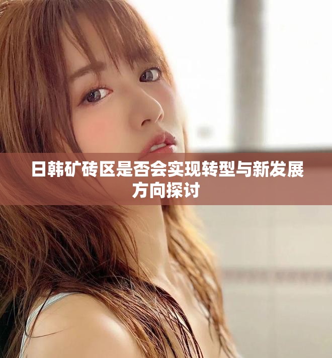 日韓礦磚區(qū)是否會實現(xiàn)轉(zhuǎn)型與新發(fā)展方向探討