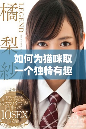 如何為貓咪取一個(gè)獨(dú)特有趣的地域網(wǎng)名技巧分享